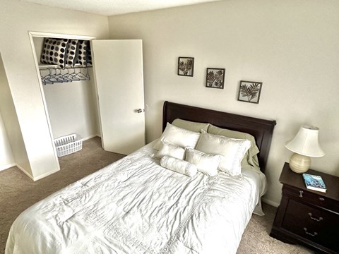 a bedroom with a bed and a closet